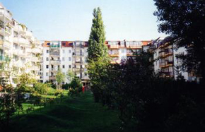 Hausbau Rygol GmbH